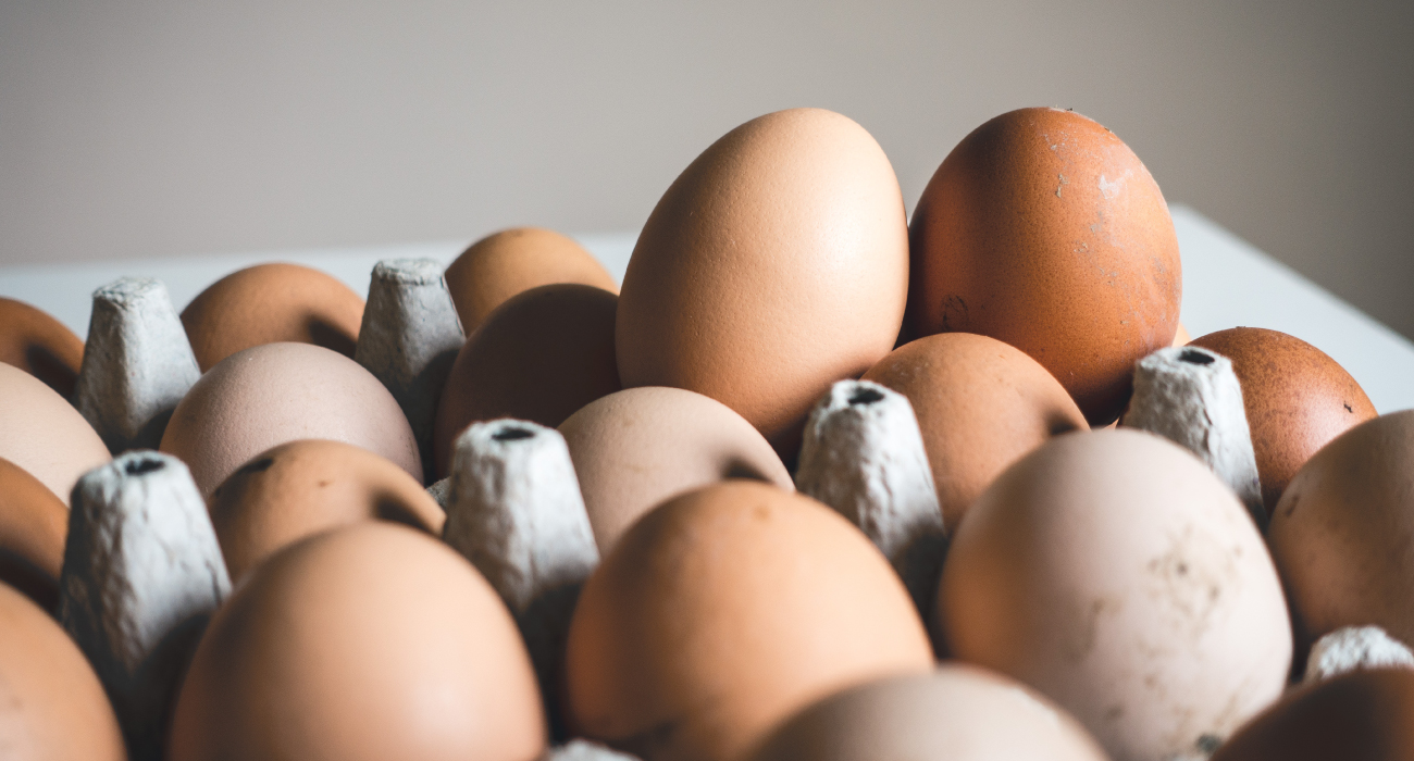 Eggeproteiner og mat